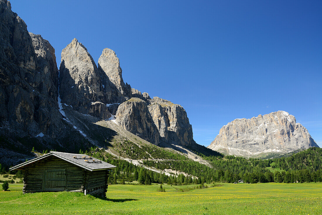 Almwiese mit Heustadel vor Sellastock und Langkofel, Sella, Dolomiten, UNESCO Weltnaturerbe Dolomiten, Südtirol, Italien