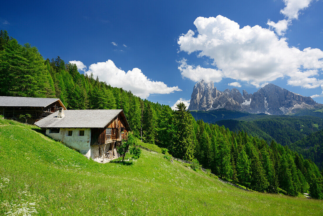 Farmhouse in front of Langkofel, Val Gardena, Dolomites, UNESCO world heritage site Dolomites, South Tyrol, Italy