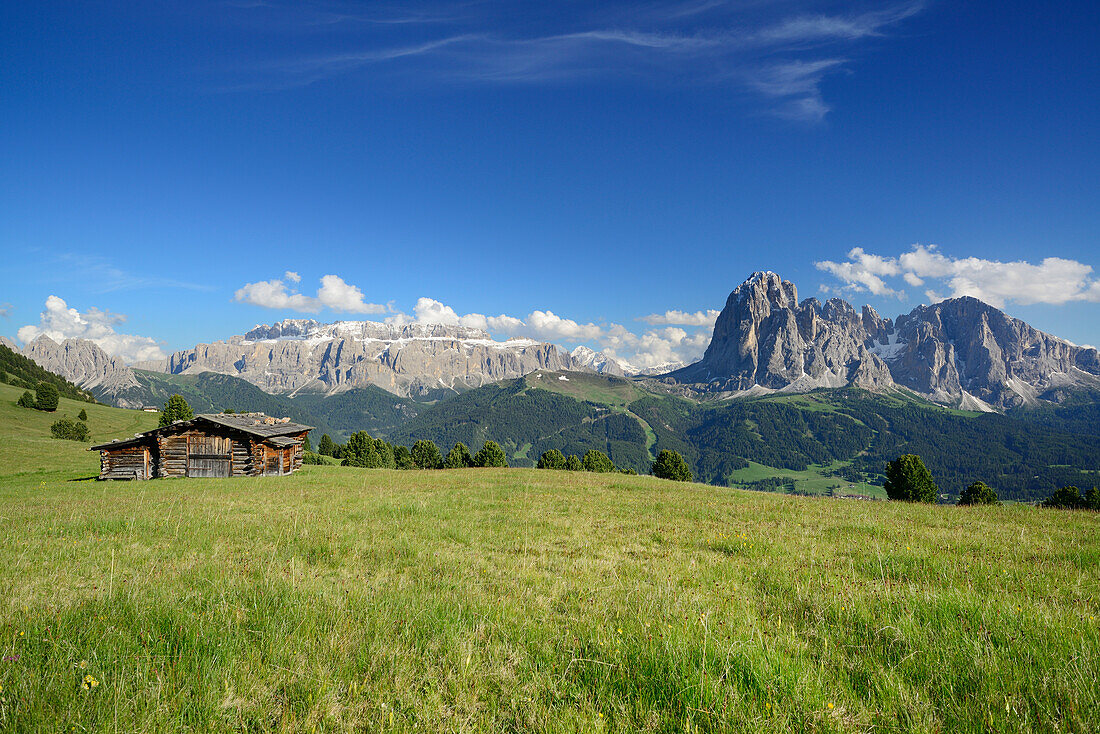 Meadow with farmhouse in front of Sella and Langkofel, Val Gardena, Dolomites, UNESCO world heritage site Dolomites, South Tyrol, Italy