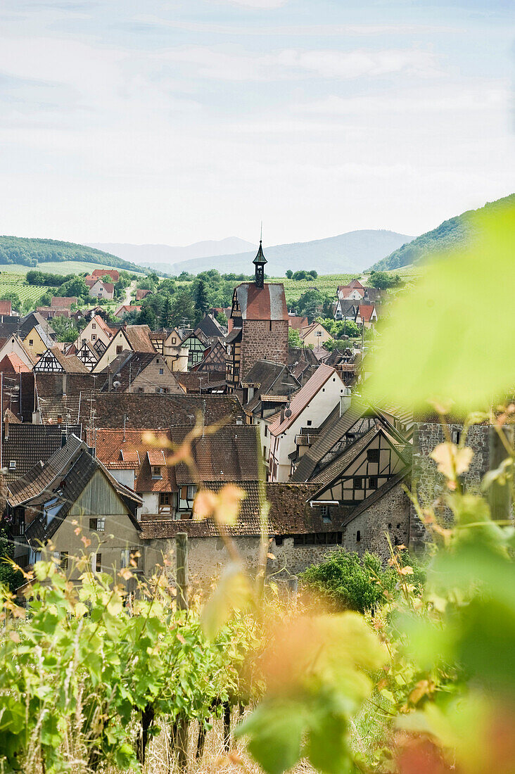 Stadtansicht und Weinberge, Riquewihr, Elsass, Frankreich