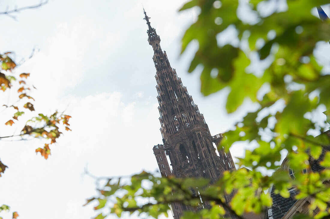 Tower of Strasbourg Cathedral, Petite France quarter, Strasbourg, Alsace, France