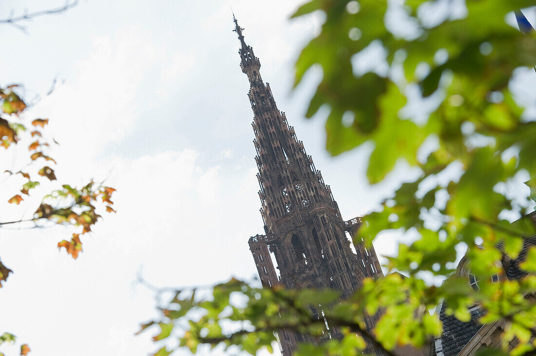 Turm von der Kathedrale, Straßburger Münster, Straßburg, Elsass, Frankreich