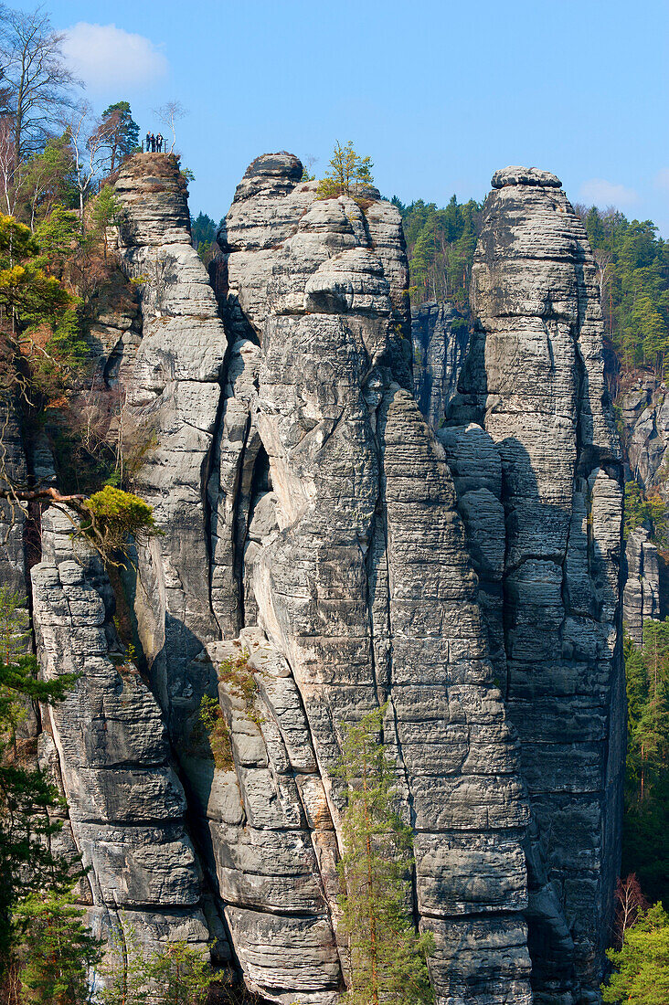 Blick vom Bastei Felsen, Elbsandsteingebirge, Sächsische Schweiz, Sachsen, Deutschland, Europa