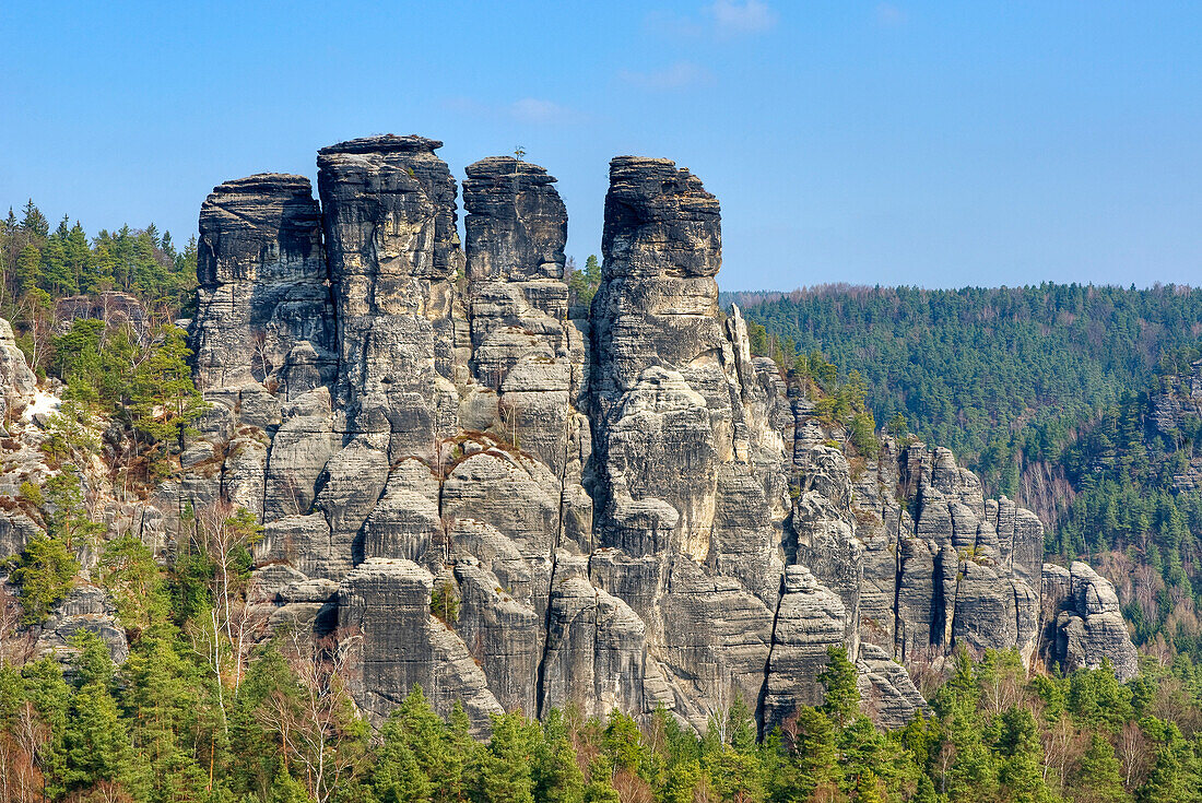 View from the Bastei rock onto forest an rock formations, Elbe Sandstone mountains, Saxon Switzerland, Saxony, Germany, Europe