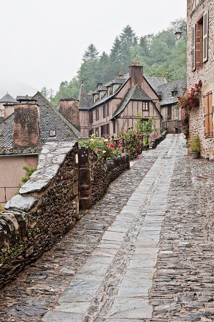 Alley with old houses, Conques, Aveyron, Midi-Pyrenees, France