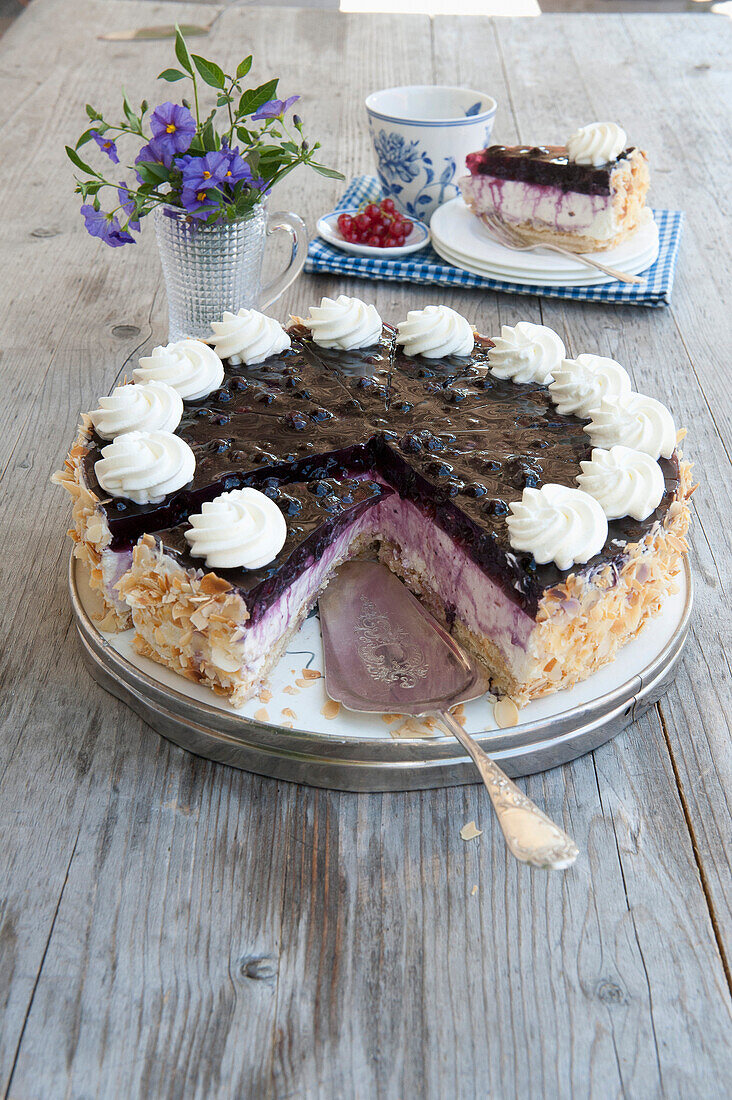 Black currant cake, Upper Bavaria, Bavaria, Germany