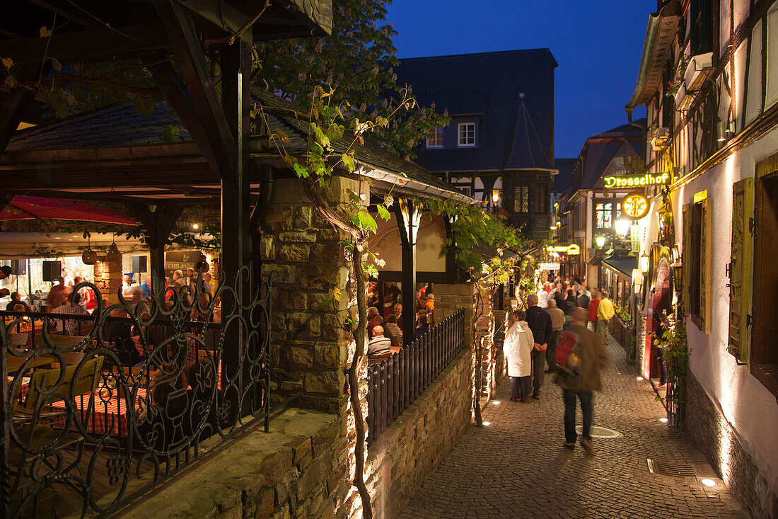 Weinstuben, Bars und Restaurants in der legendären Drosselgasse am Abend, Rüdesheim am Rhein, Hessen, Deutschland, Europa