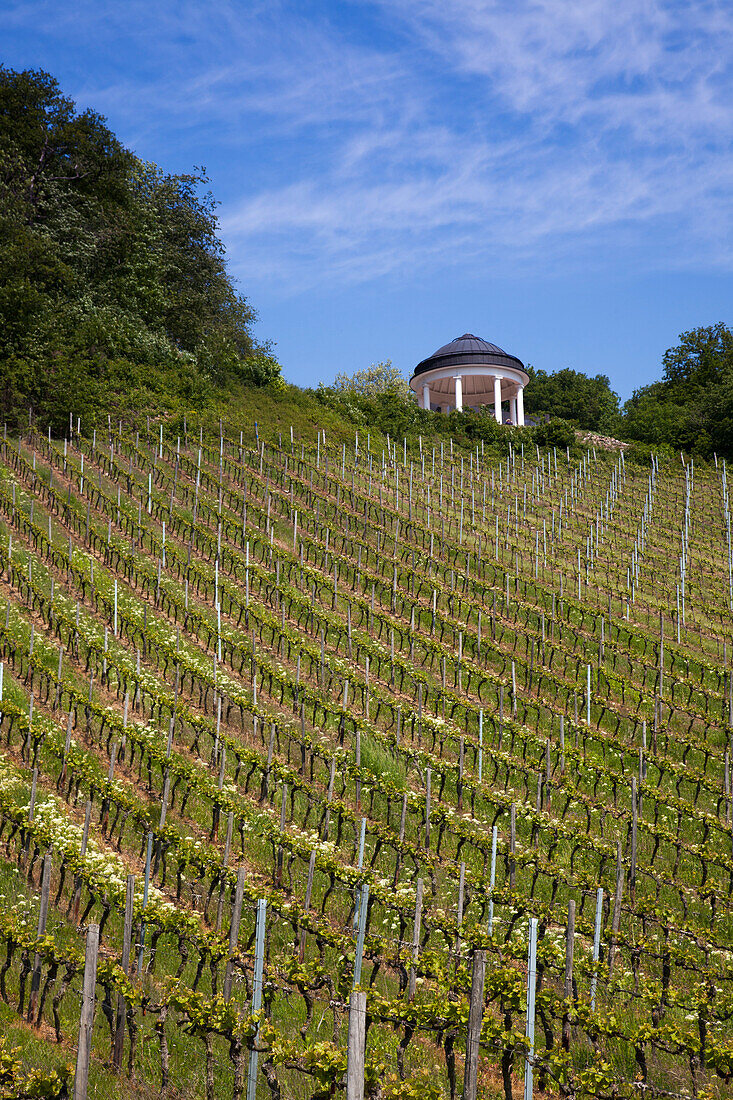 Weinberg und Pavillon unter Wolkenhimmel, Rüdesheim am Rhein, Hessen, Deutschland, Europa