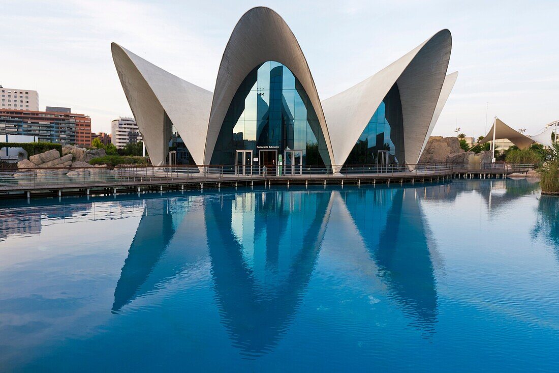 Aquarium, L`Oceanografic by Felix Candela, City of arts and sciences, Ciudad de las Artes y las Ciencias, Valencia