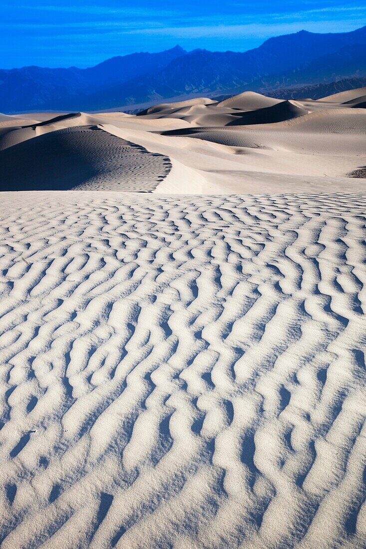 USA, California, Death Valley National Park, Mesquite Flat Sand Dunes, dawn