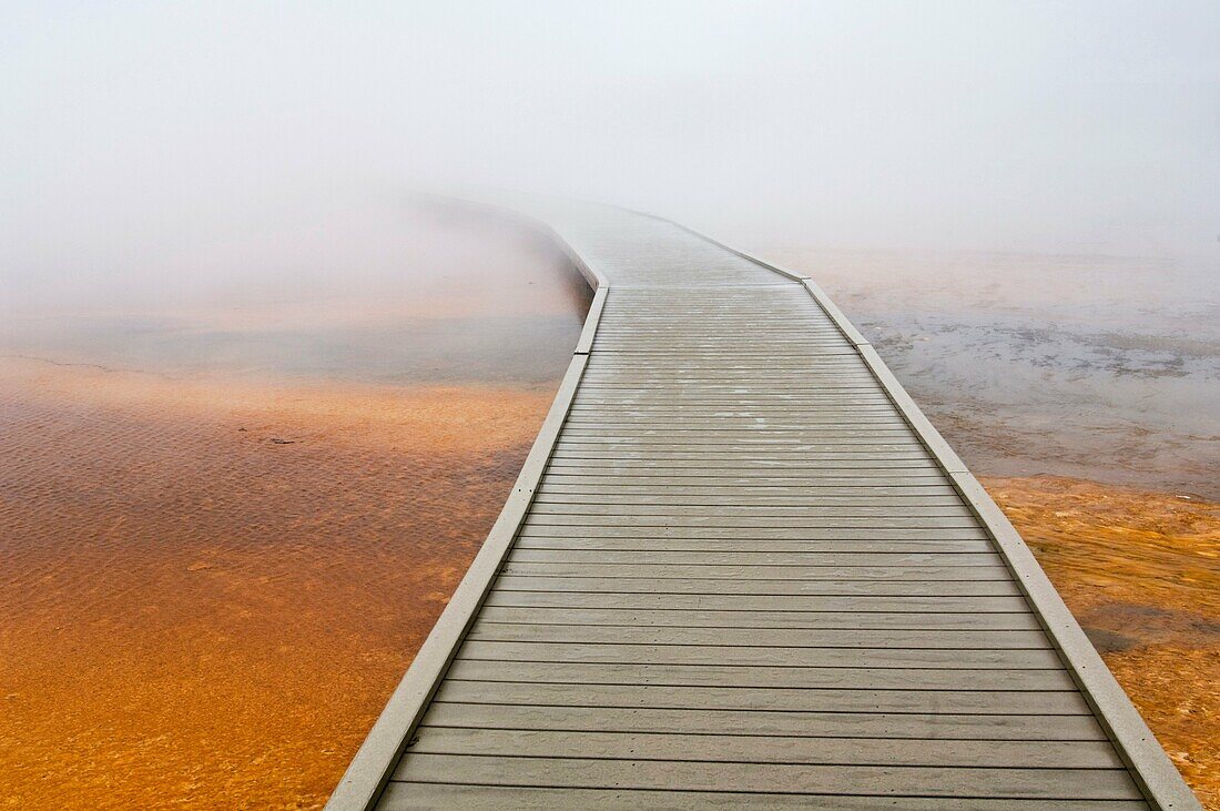 Tourist boardwalk and steam over the fragile ground at the Grand Prismatic Spring, Midway Geyser Basin, Yellowstone National Park, Wyoming