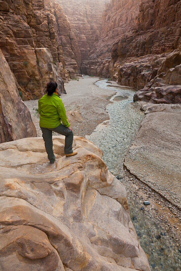 Mujib Canyon Nature Reserve, Rift Valley, Dead Sea, Jordan, Middle East