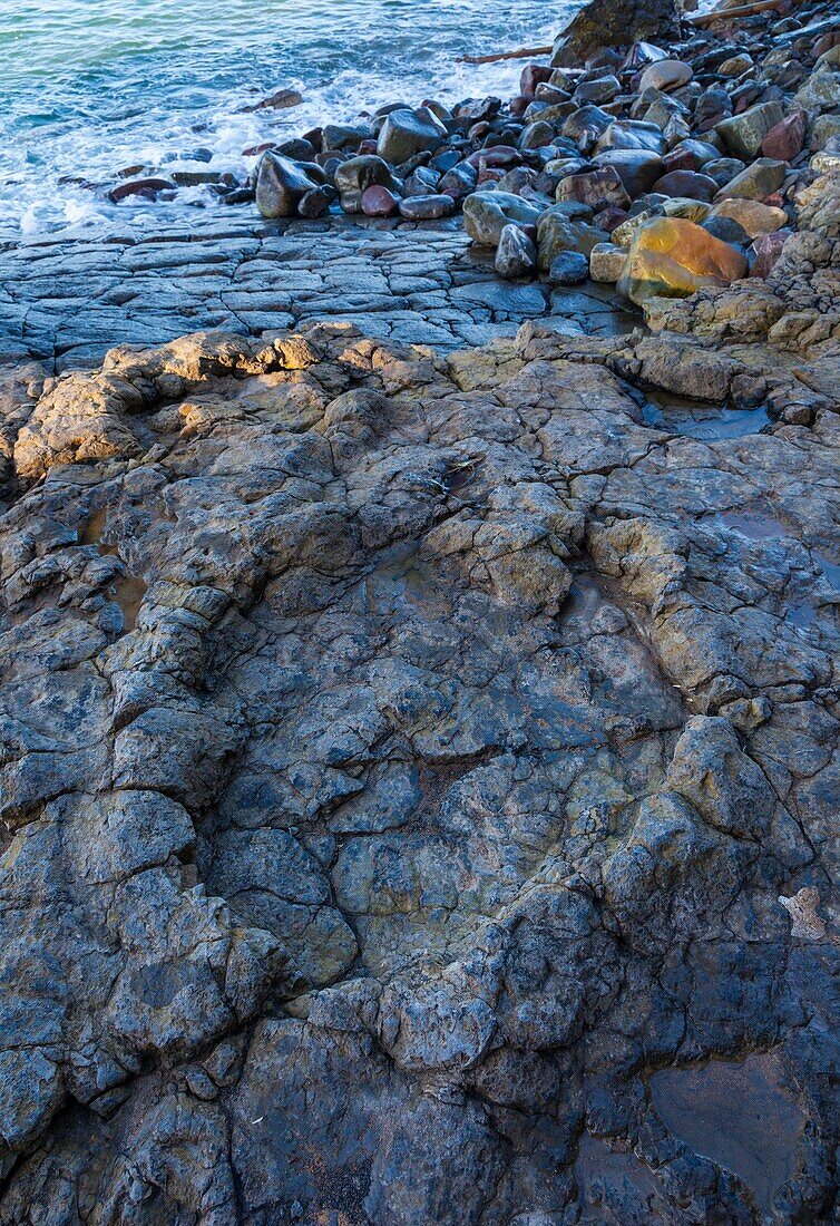 Largest ichnites of sauropod dinosaurs, La Griega Beach, Lastres - Llastres Village, Colunga Council, Asturias, Spain, Europe