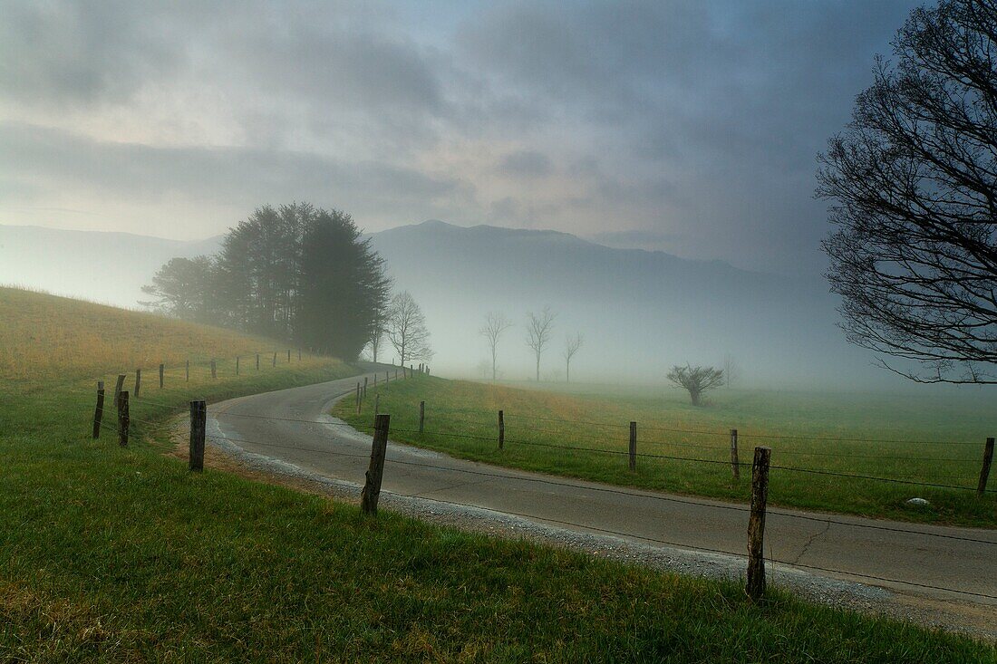 Spring, Cades Cove, Great Smoky Mtns NP, TN