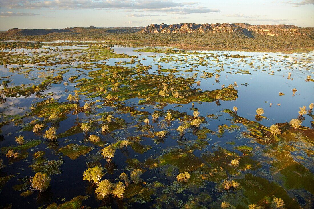Aerial of Magela Wetlands, Kakadu National Park, Northern Territory, Australia