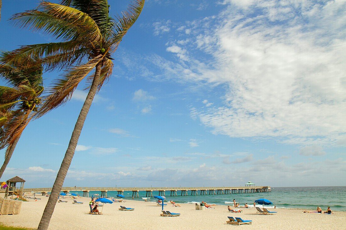 Florida, Deerfield Beach, palm trees, sand, public, Atlantic Ocean, coast, shore, surf, sunbathers, Deerfield Beach International Fishing Pier