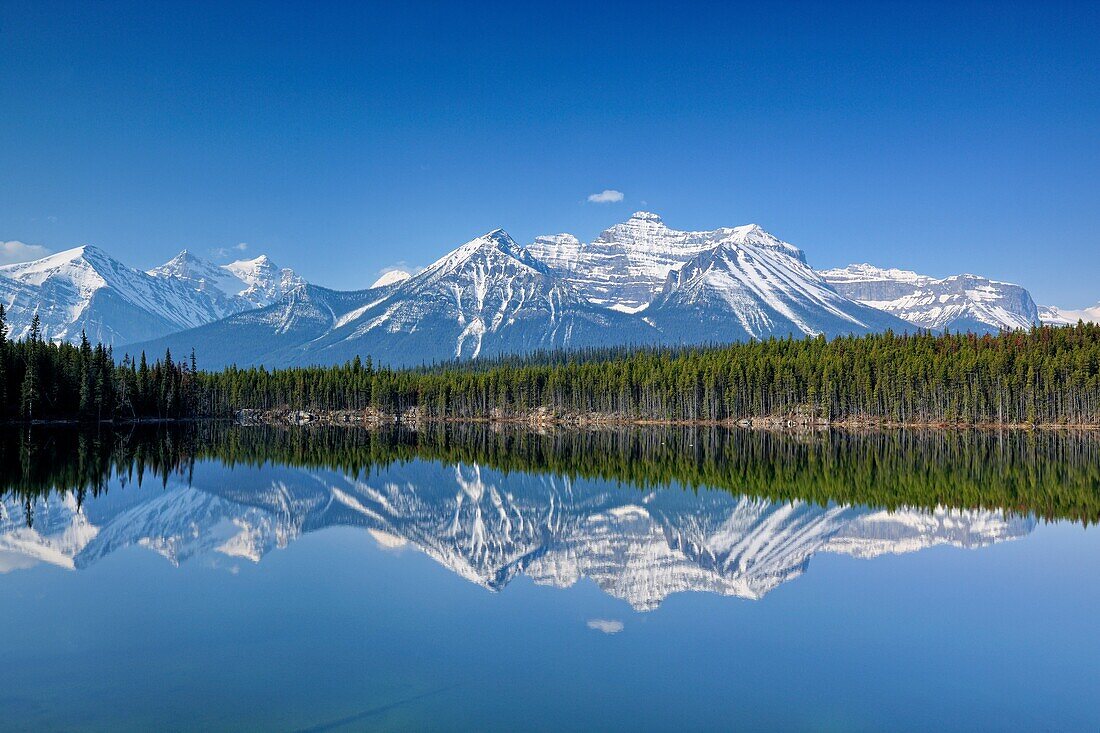 The Bow Range reflected in Herbert Lake, Banff NP, Alberta, Canada