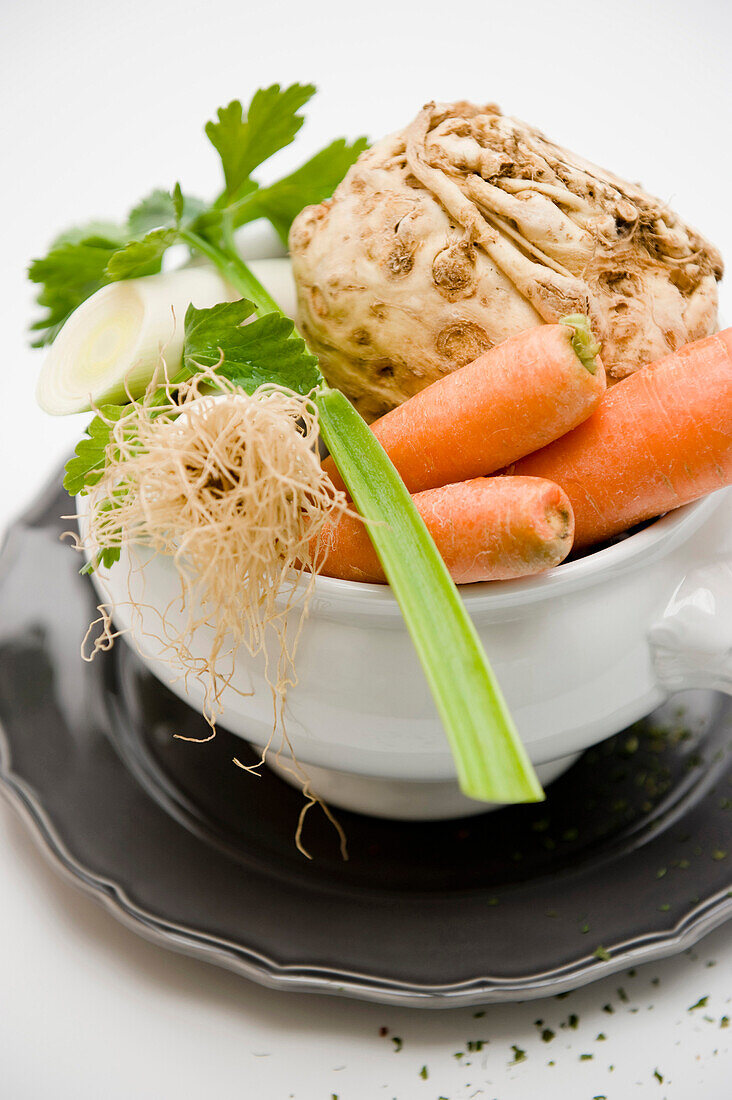 Bowl of vegetable soup with carrots, celeriac, leek and parsley, Homemade, Bavaria, Germany
