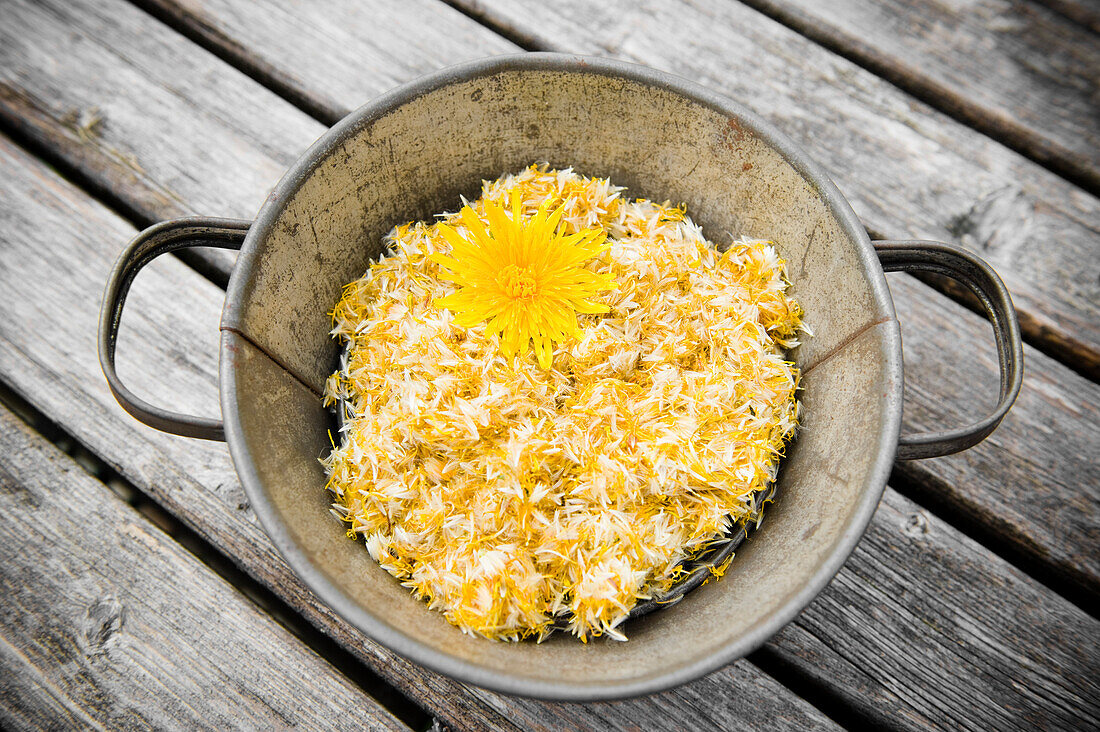 Common dandelion flowers in a bucket, dried flowers, Homemade