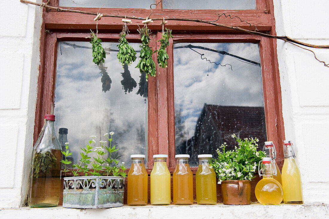 Woodruff syrup, juice and liqueur on a window sill, homemade