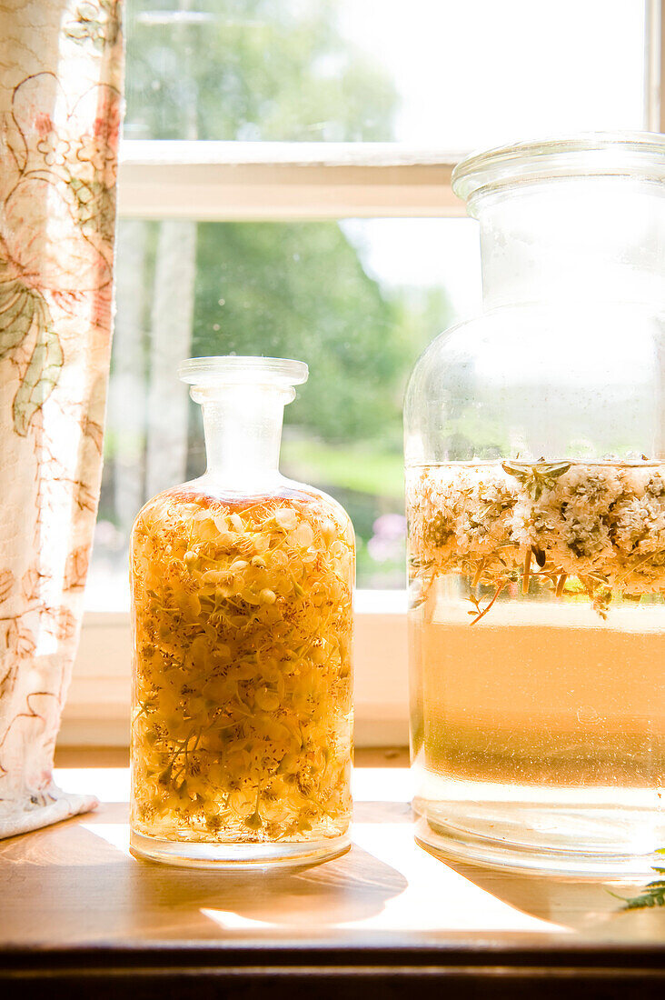Glas mit Lindenblüten Extrakt, Likör, Sirup, Selbstgemachtes