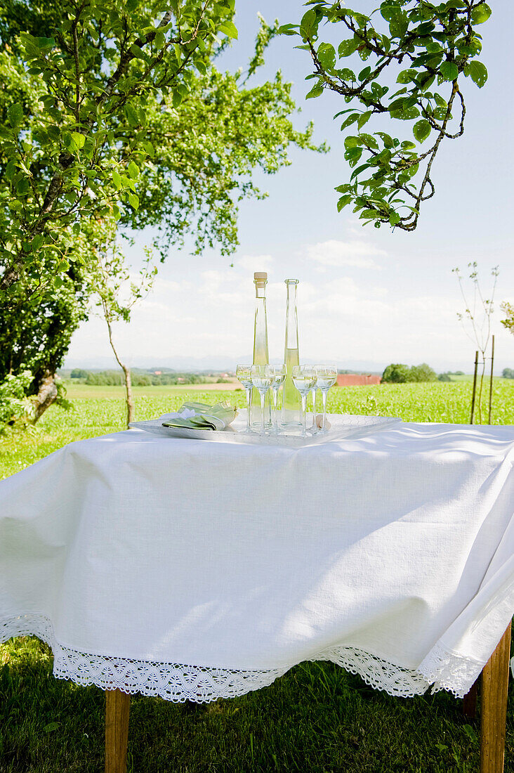 Likör auf einem Tisch im Garten, Selbstgemachtes