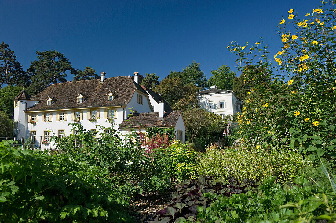 Houses at Merian Park, Brueglingen, Basel, Switzerland, Europe