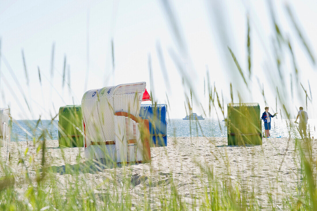 Beach grass and beachchairs on the beach, Wyk, Foehr, North Frisian Islands, Schleswig-Holstein, Germany, Europe