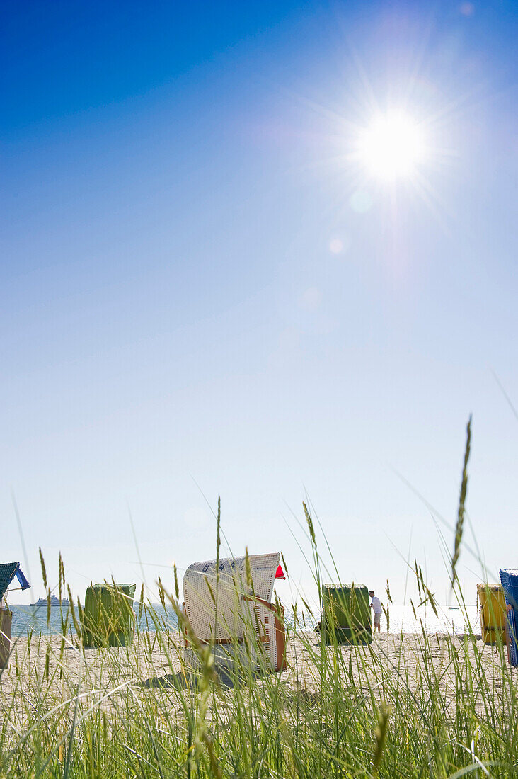 Strandhafer und bunte Strandkörbe am Strand, Wyk, Föhr, Nordfriesland, Schleswig-Holstein, Deutschland, Europa