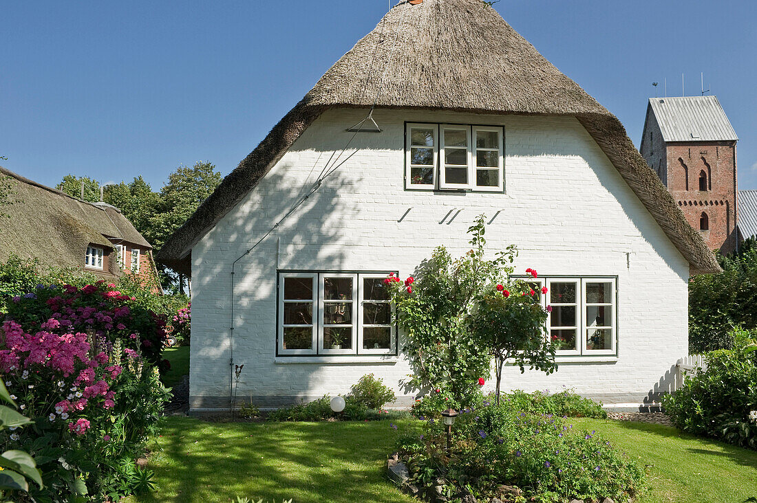 Haus mit Reetdach und Garten, Nieblum, Föhr, Nordfriesland, Schleswig-Holstein, Deutschland, Europa
