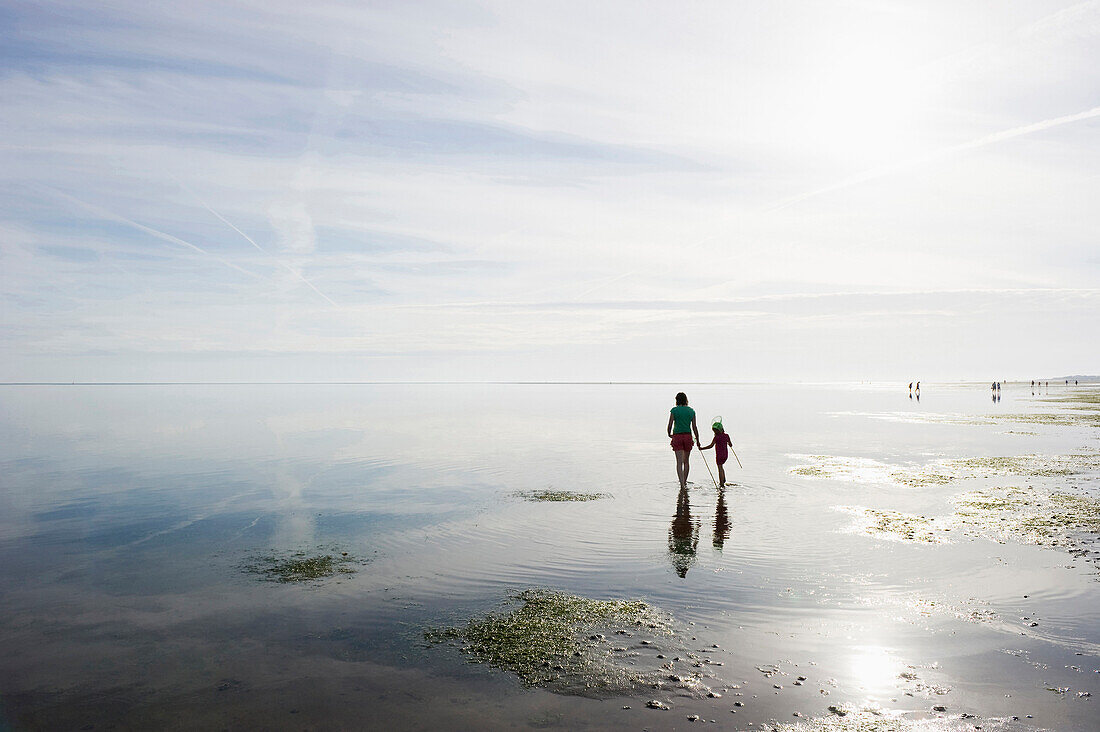 Menschen laufen durchs Watt, Nationalpark Wattenmeer, bei Wyk, Föhr, Nordfriesland, Schleswig-Holstein, Deutschland, Europa