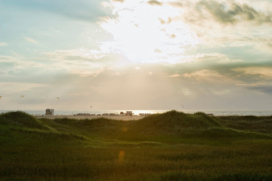 Meadow and beach at sunset, Sankt Peter-Ording, Wadden Sea National Park, Eiderstedt peninsula, North Frisian Islands, Schleswig-Holstein, Germany, Europe