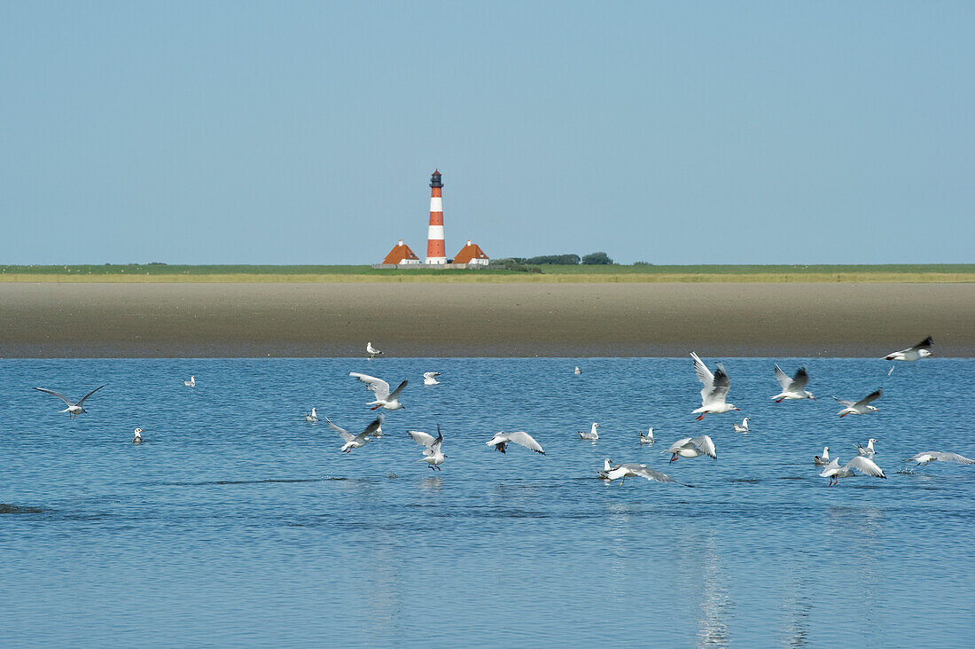 Leuchtturm Westerheversand am Strand, Westerhever, Halbinsel Eiderstedt, Nationalpark Schleswig-Holsteinisches Wattenmeer, Nordfriesland, Schleswig-Holstein, Deutschland, Europa