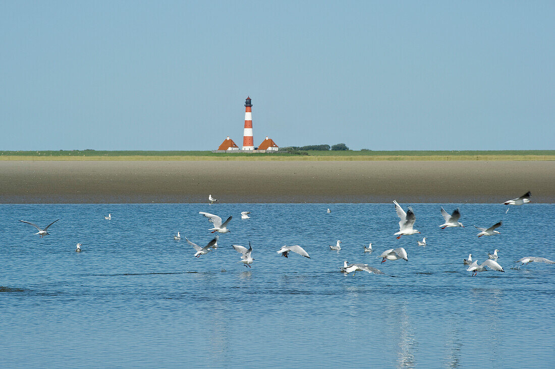 Westerheversand lighthouse at the beach, Westerhever, Wadden Sea National Park, Eiderstedt peninsula, North Frisian Islands, Schleswig-Holstein, Germany, Europe