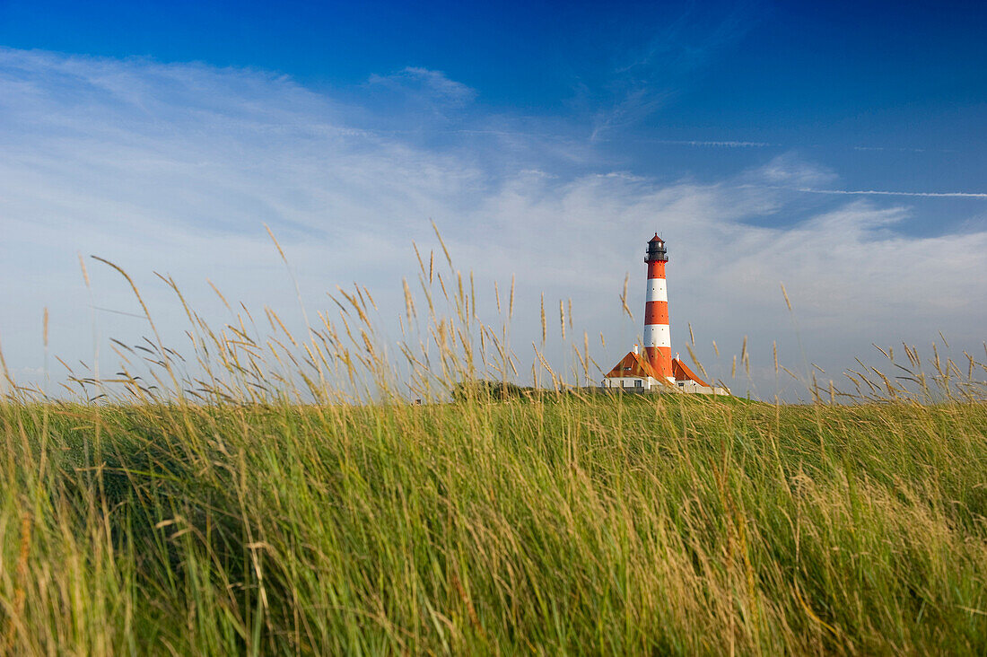 Leuchtturm Westerheversand und Salzwiesen, Westerhever, Halbinsel Eiderstedt, Nationalpark Schleswig-Holsteinisches Wattenmeer, Nordfriesland, Schleswig-Holstein, Deutschland, Europa