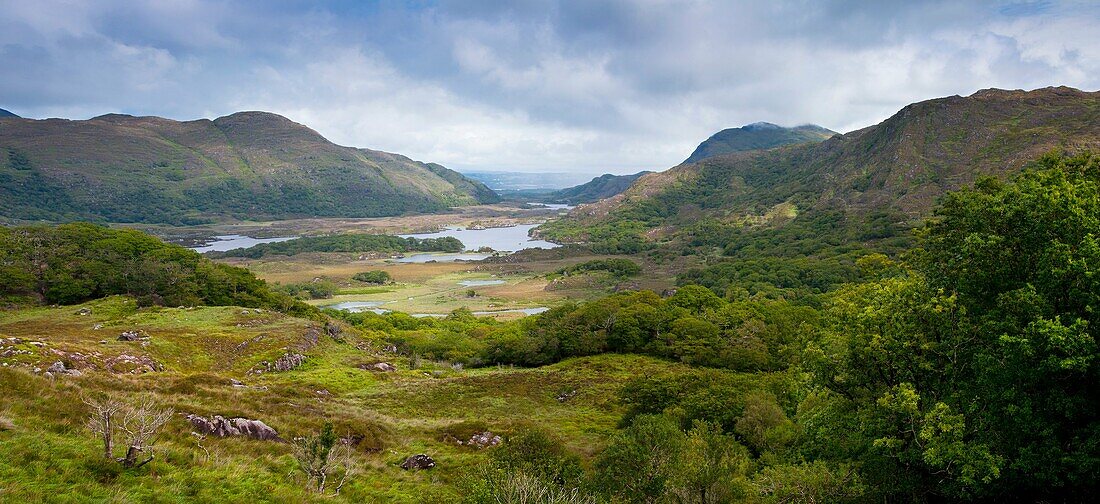 Landscape  The Lakes of Killarney from Ladies view  Killarney National Park  County Kerry, Ireland