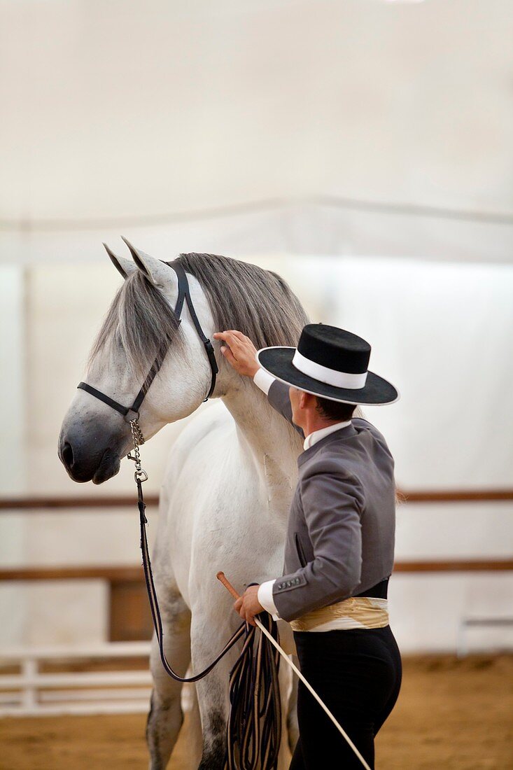 Show during a Morphological competition of Pure Spanish Horse, Equus Fair 2011, Girona, Spain