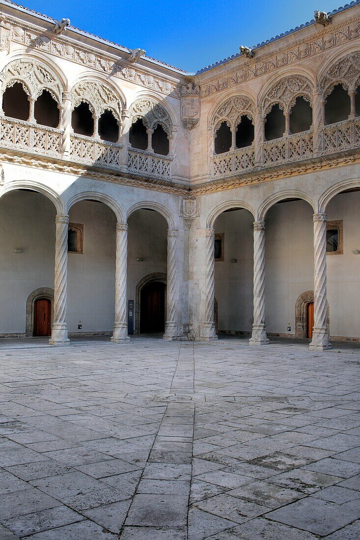 Colegio de San Gregorio, National Sculpture Museum, Valladolid, Castile and Leon, Spain