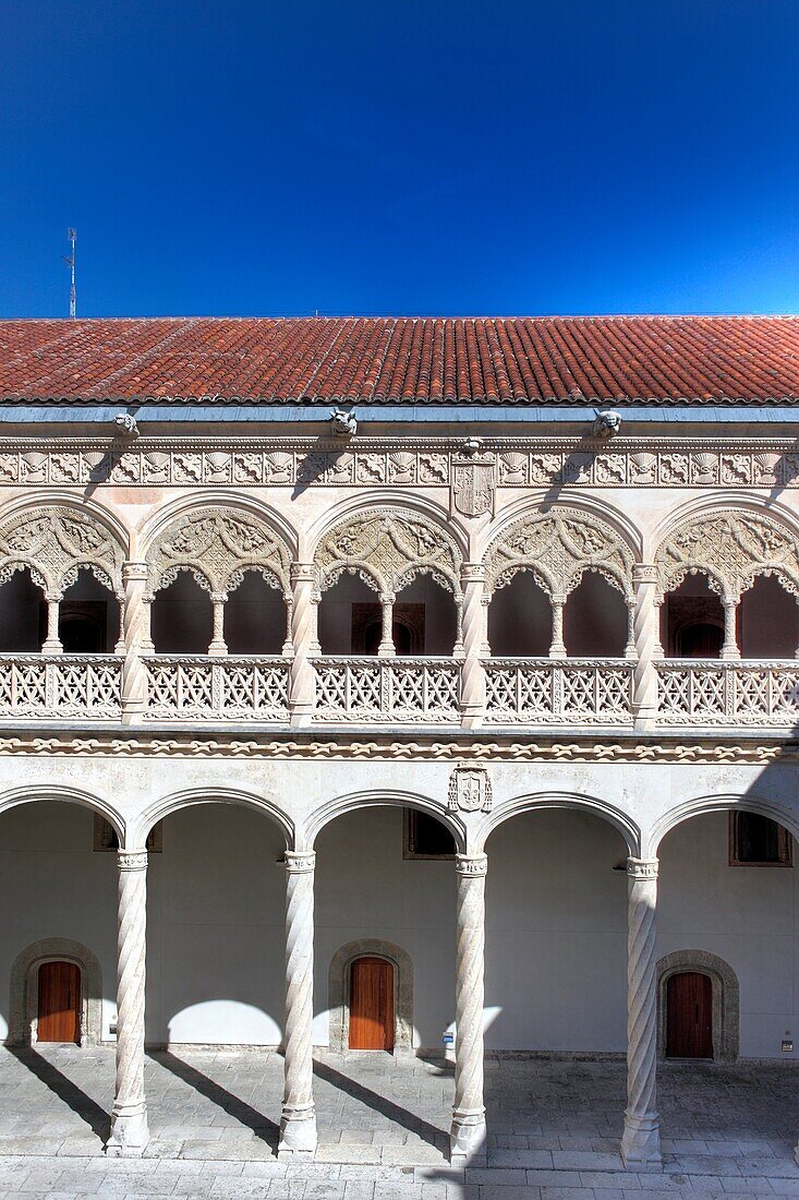 Colegio de San Gregorio, National Sculpture Museum, Valladolid, Castile and Leon, Spain