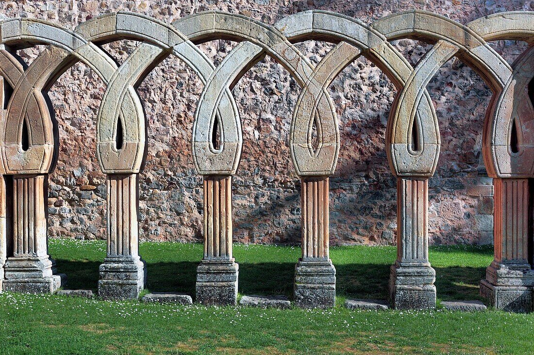 Romanesque church of San Juan de Duero 12th century, Soria, Castile and Leon, Spain