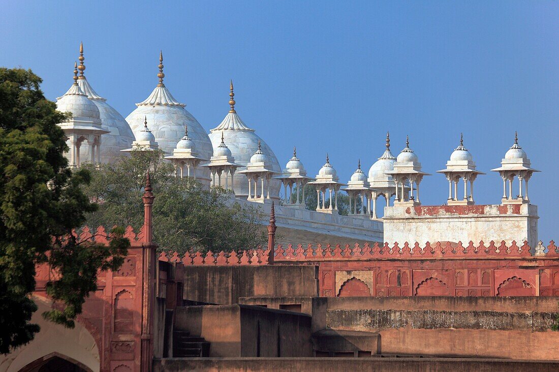 Moti Masjid Pearl Mosque, Red Fort, Agra, India