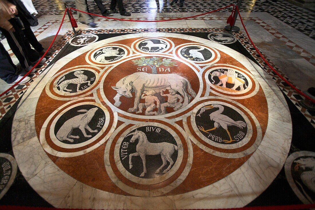 Mosaic floor with the wolf, symbol of Rome, Duomo dell´Assunta, Siena, Italy