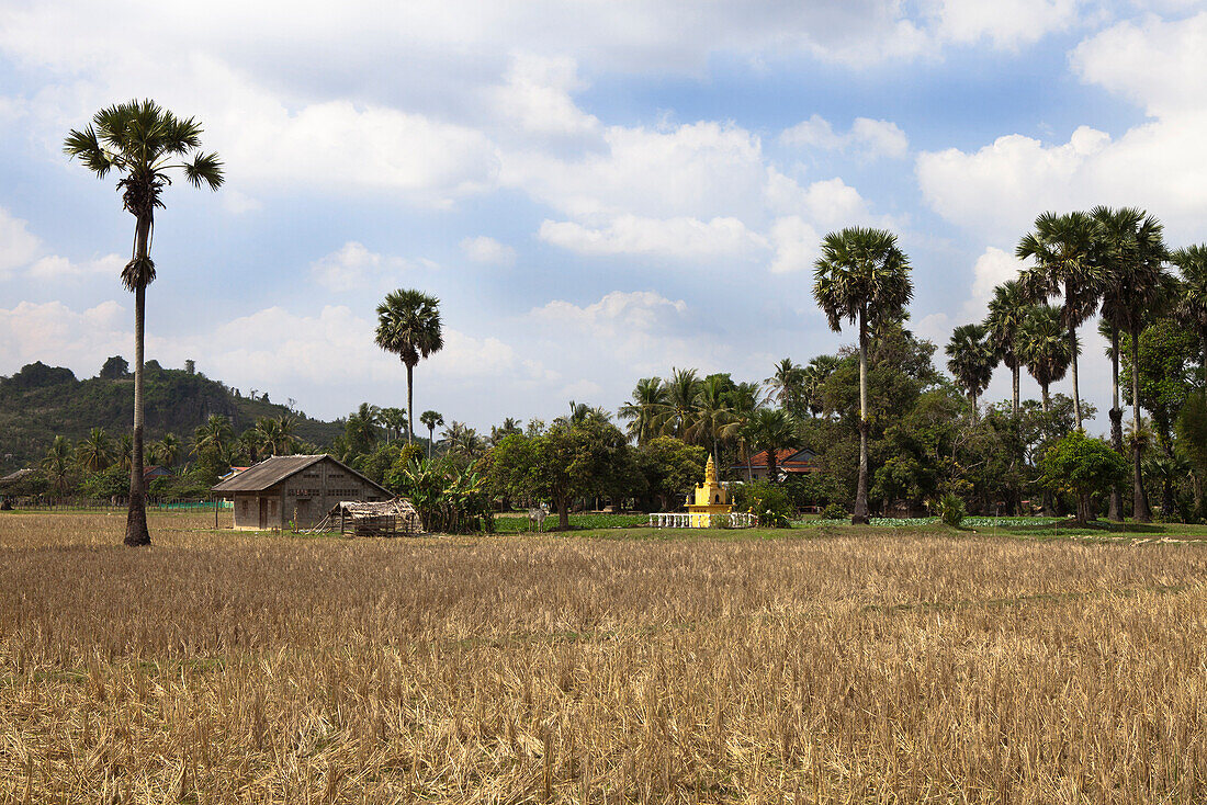 Feld mit Tempel im Hintergrund, Provinz Kampot, Kambodscha, Asien