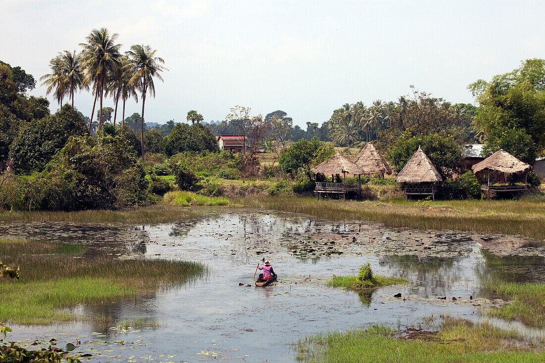 Pond with water lilys in Kampot province, Cambodia, Asia