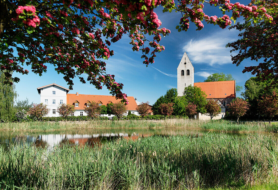 Village green and church at Bietikow, Uckermark, Land Brandenburg, Germany, Europe