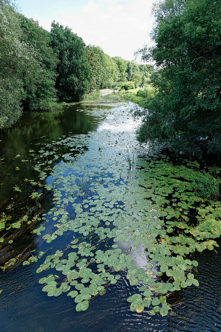 Schnelle Havel mit Wasserpflanzen, Zehdenick, Land Brandenburg, Deutschland, Europa