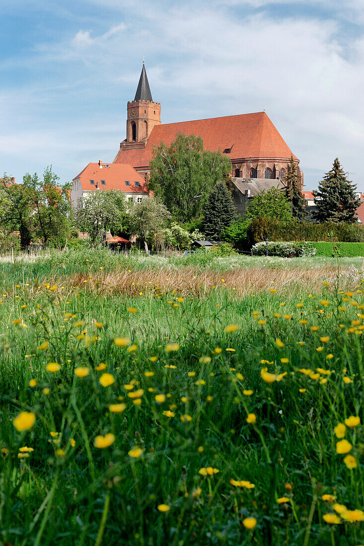 Blick über eine Wiese auf die St. Marien Kirche, Beeskow, Land Brandenburg, Deutschland, Europa