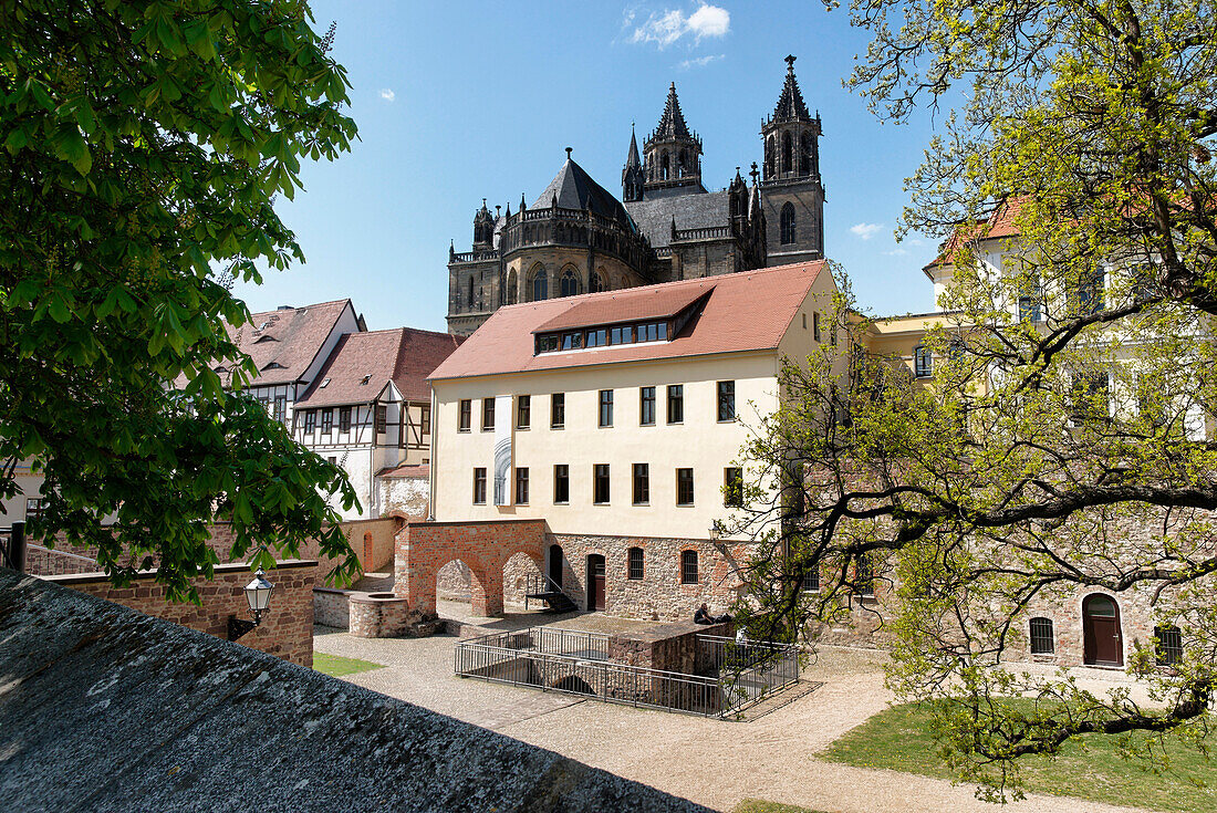Magdeburger Dom, Dom Sankt Mauritius und Katharina, Magdeburg, Sachsen-Anhalt, Deutschland, Europa