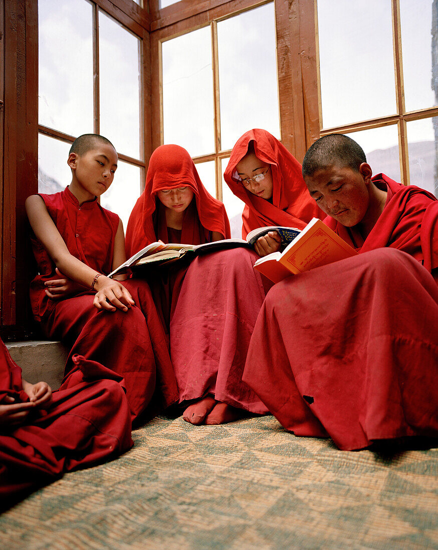 Schülerinnen im Nonnenkloster Chullichan Nunnery School, lesen im Lehrraum, am Kloster Rizong, westlich von Leh, Ladakh, Jammu und Kashmir, Indien