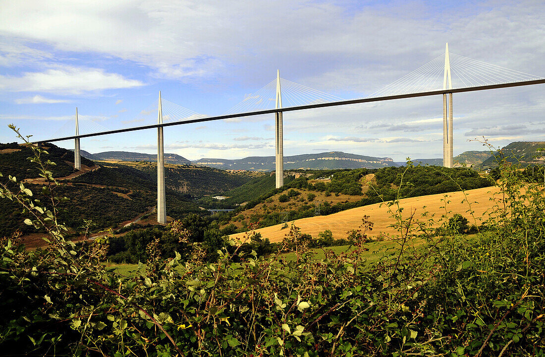 Autobahnbrücke in idyllischer Landschaft, Languedoc, Frankreich, Europa